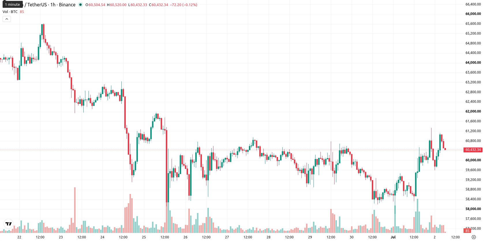 Bitcoin asset chart