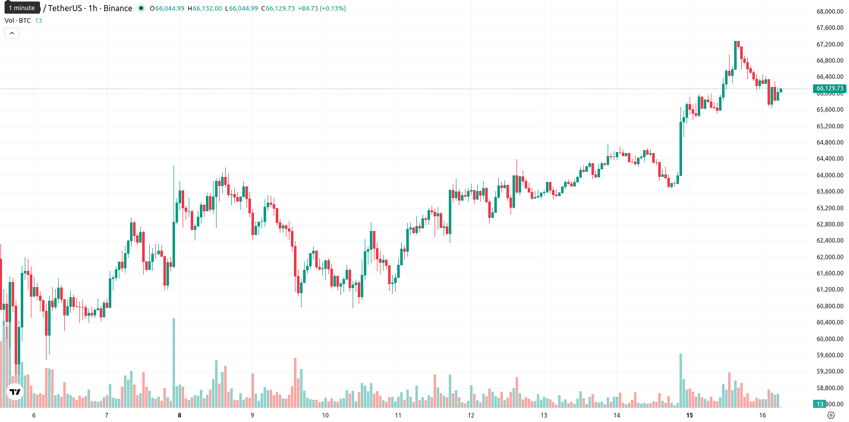 Bitcoin asset chart