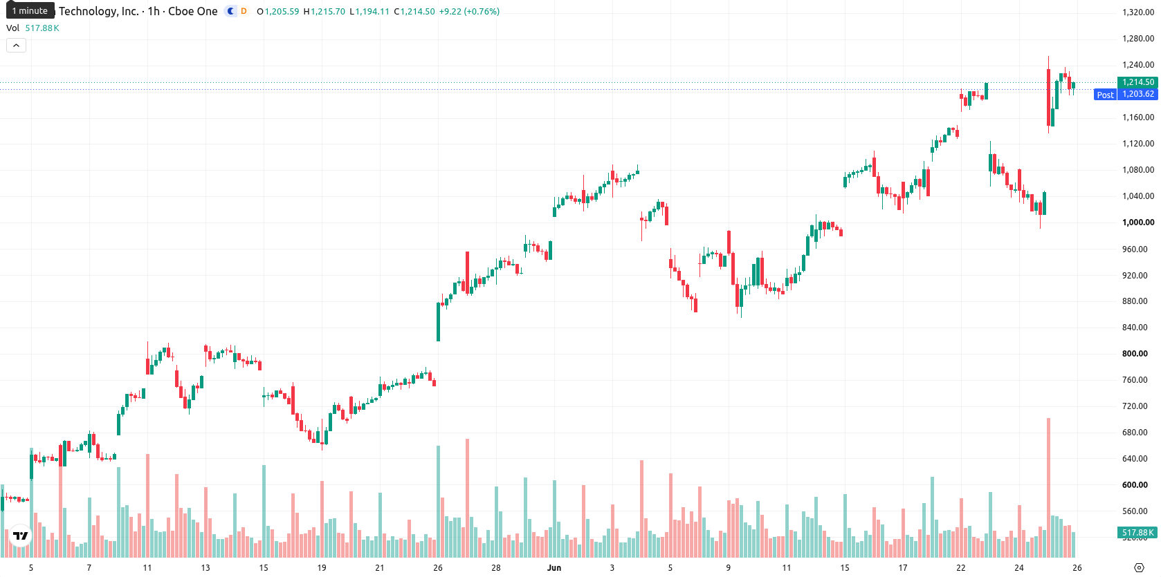 Micron Technology asset chart