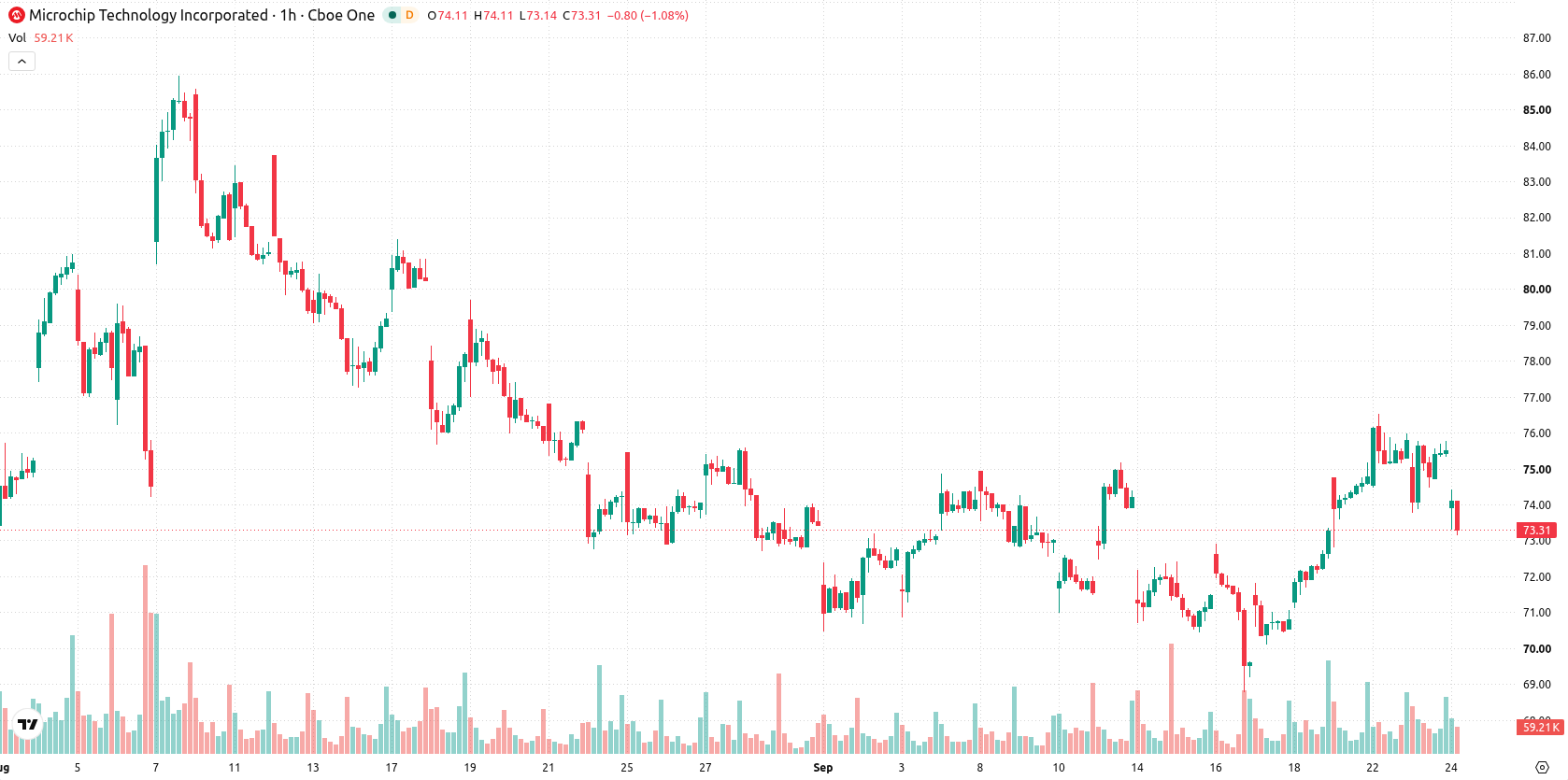 Microchip Technology Inc asset chart