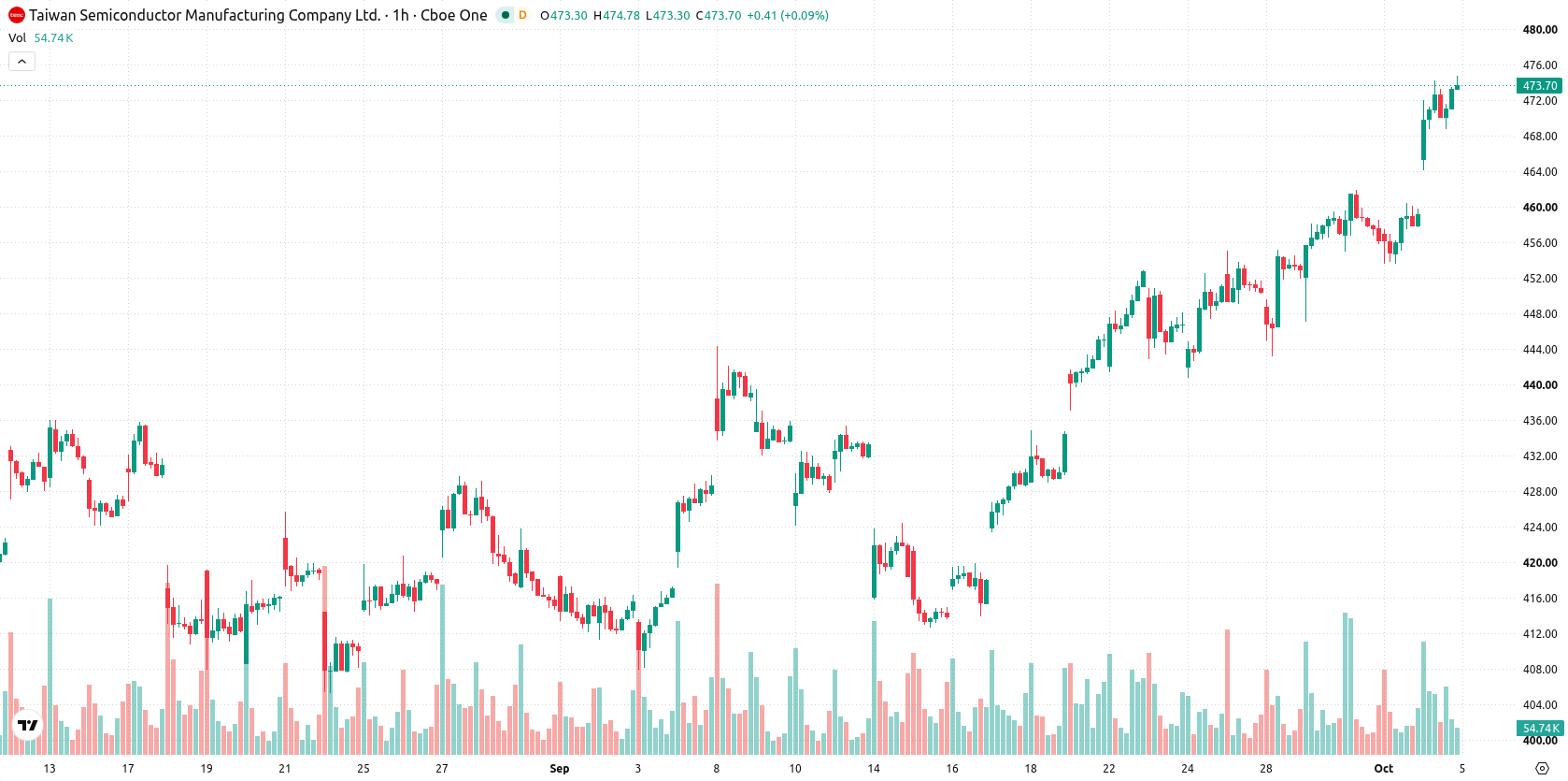 TSMC asset chart