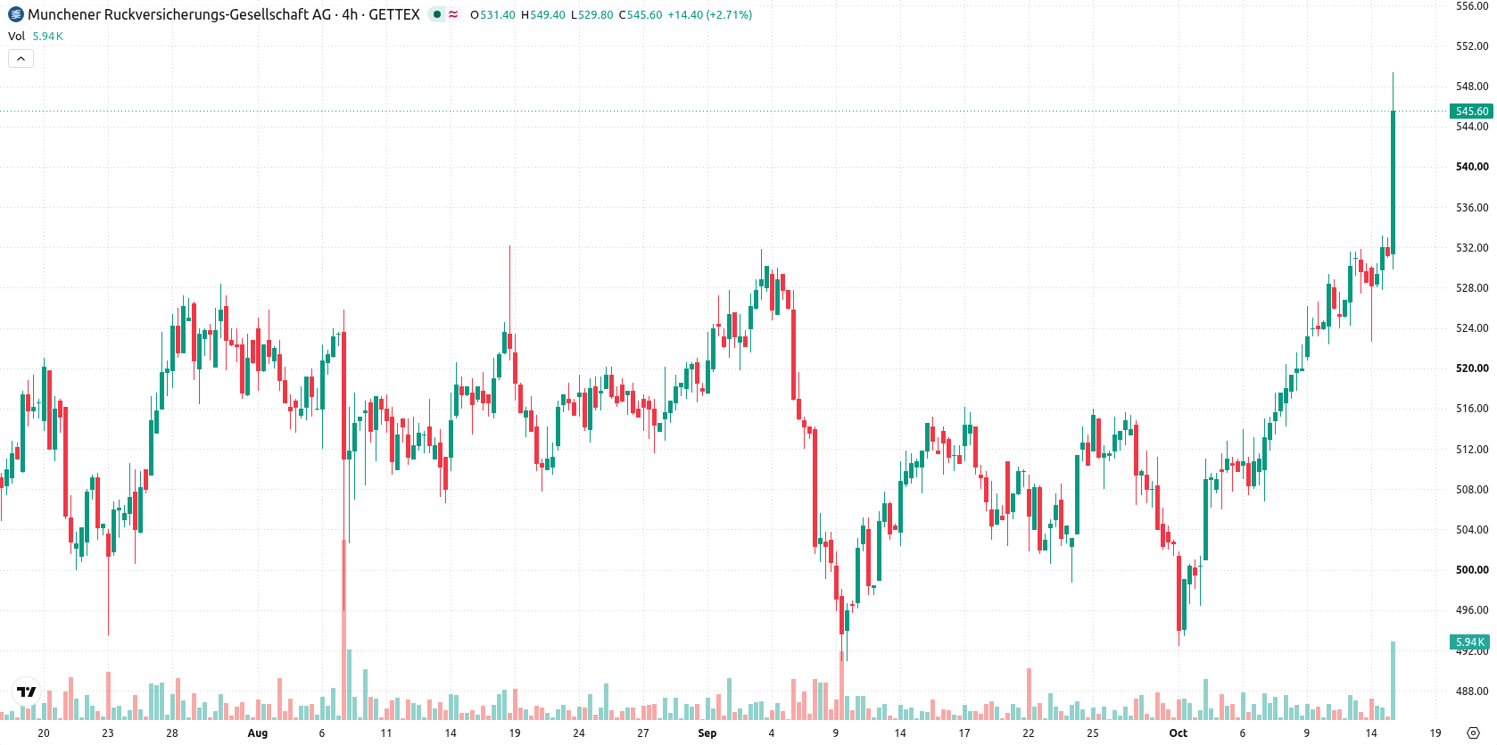Munich Re asset chart