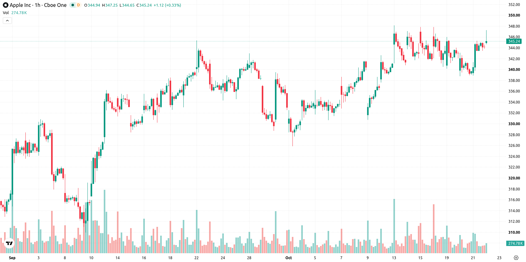 Apple Inc. asset chart