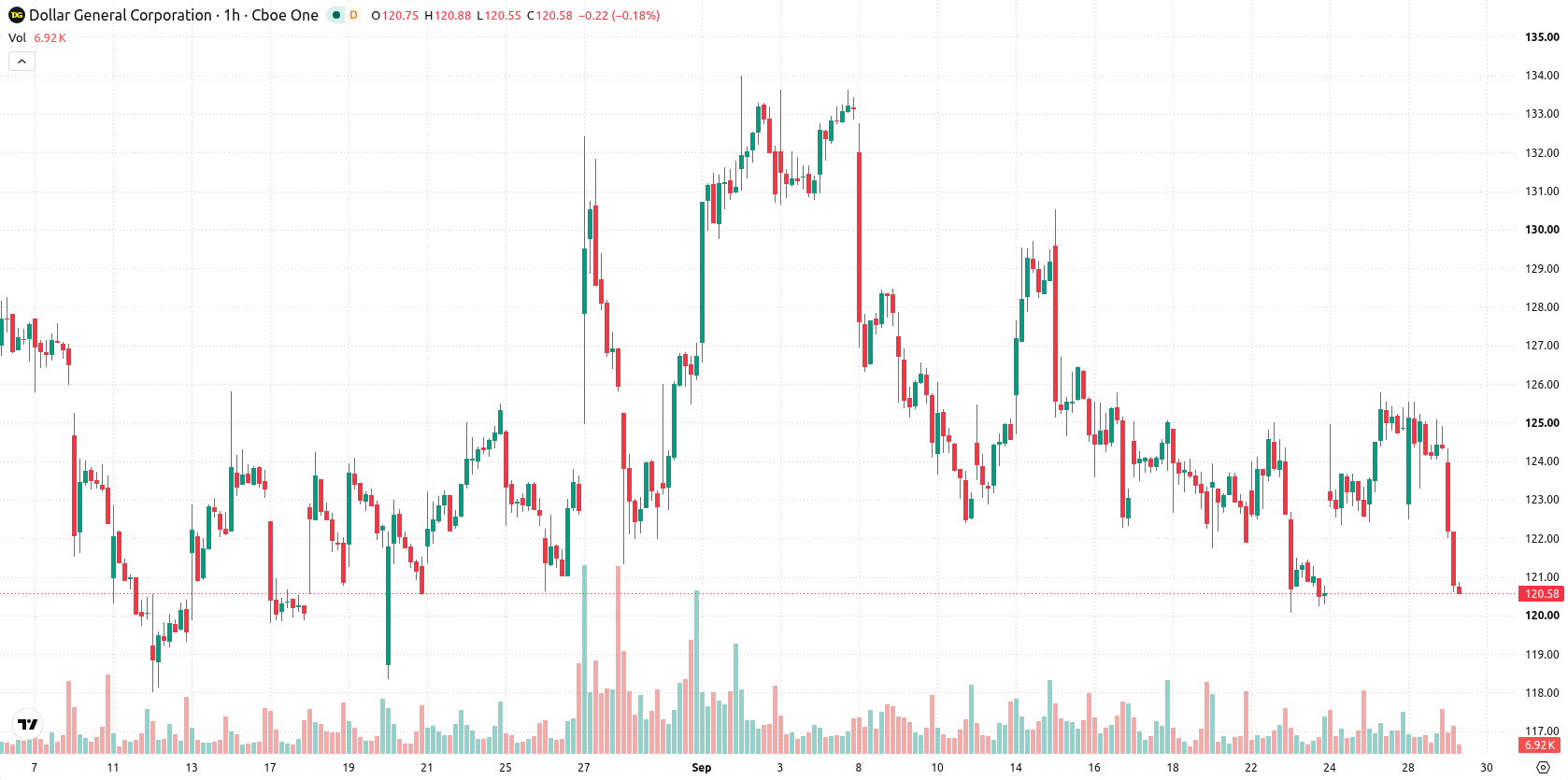 Dollar General asset chart
