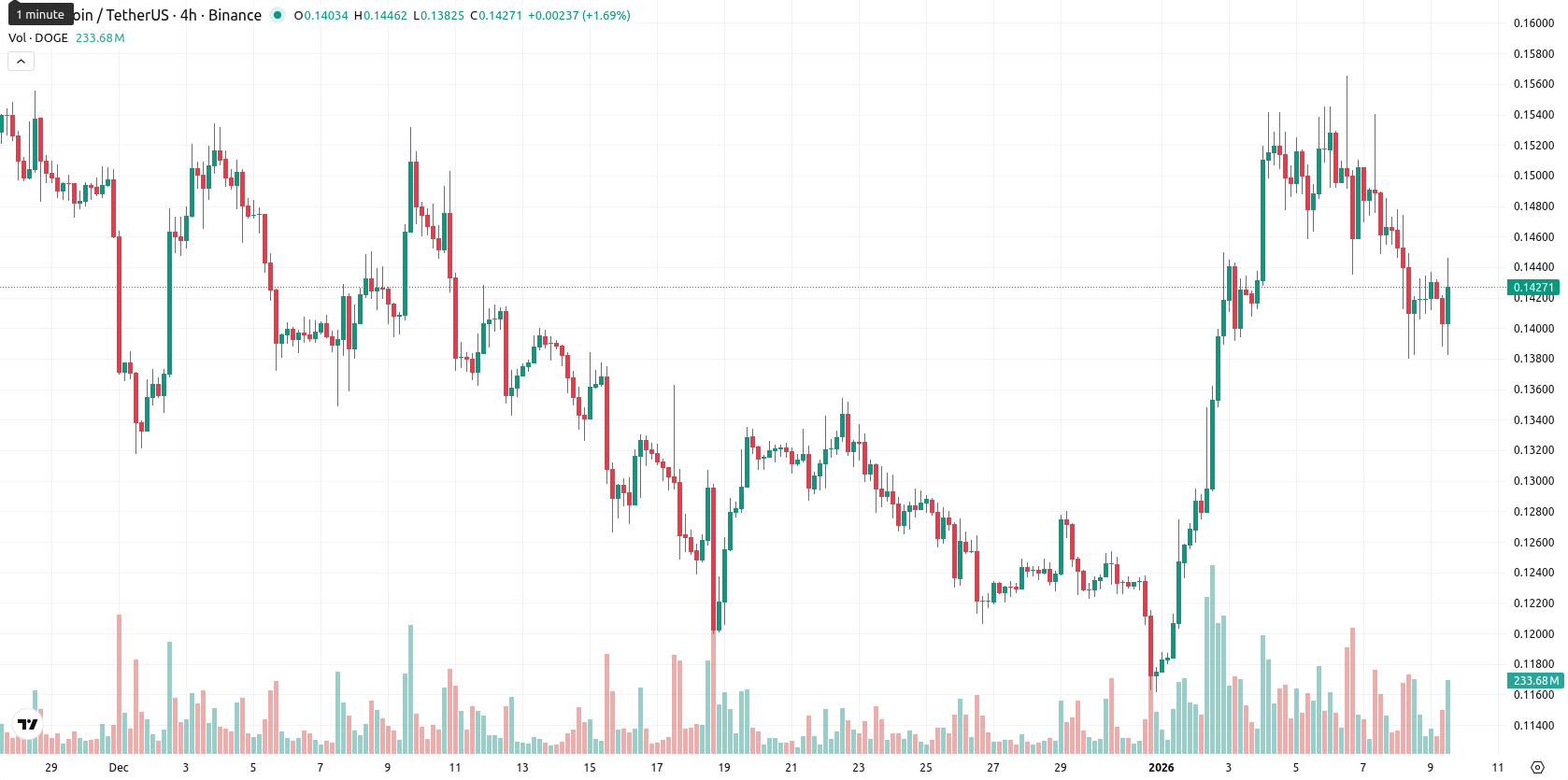 Dogecoin asset chart
