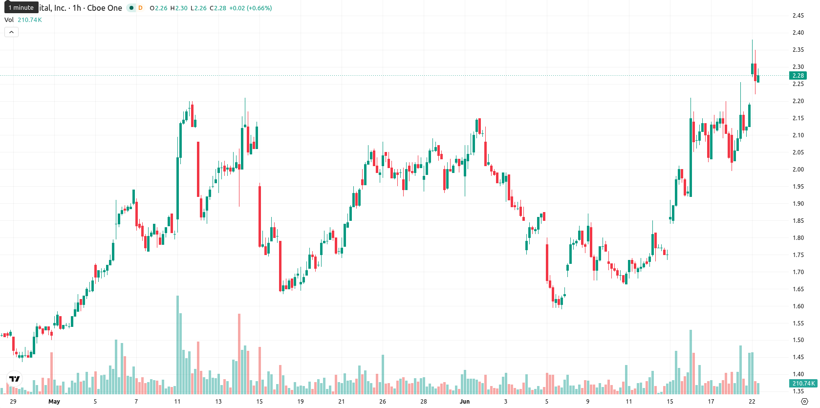 Bit Digital Inc. asset chart