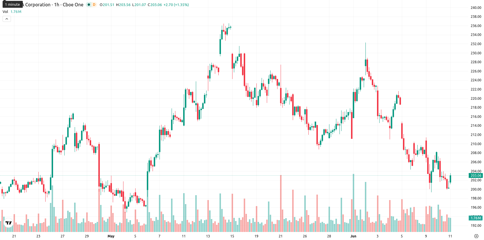 Nvidia Corp asset chart