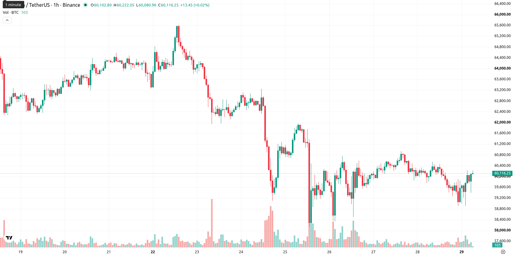 Bitcoin asset chart