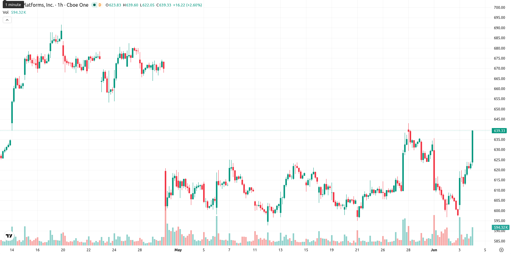 Meta Platforms Inc. asset chart