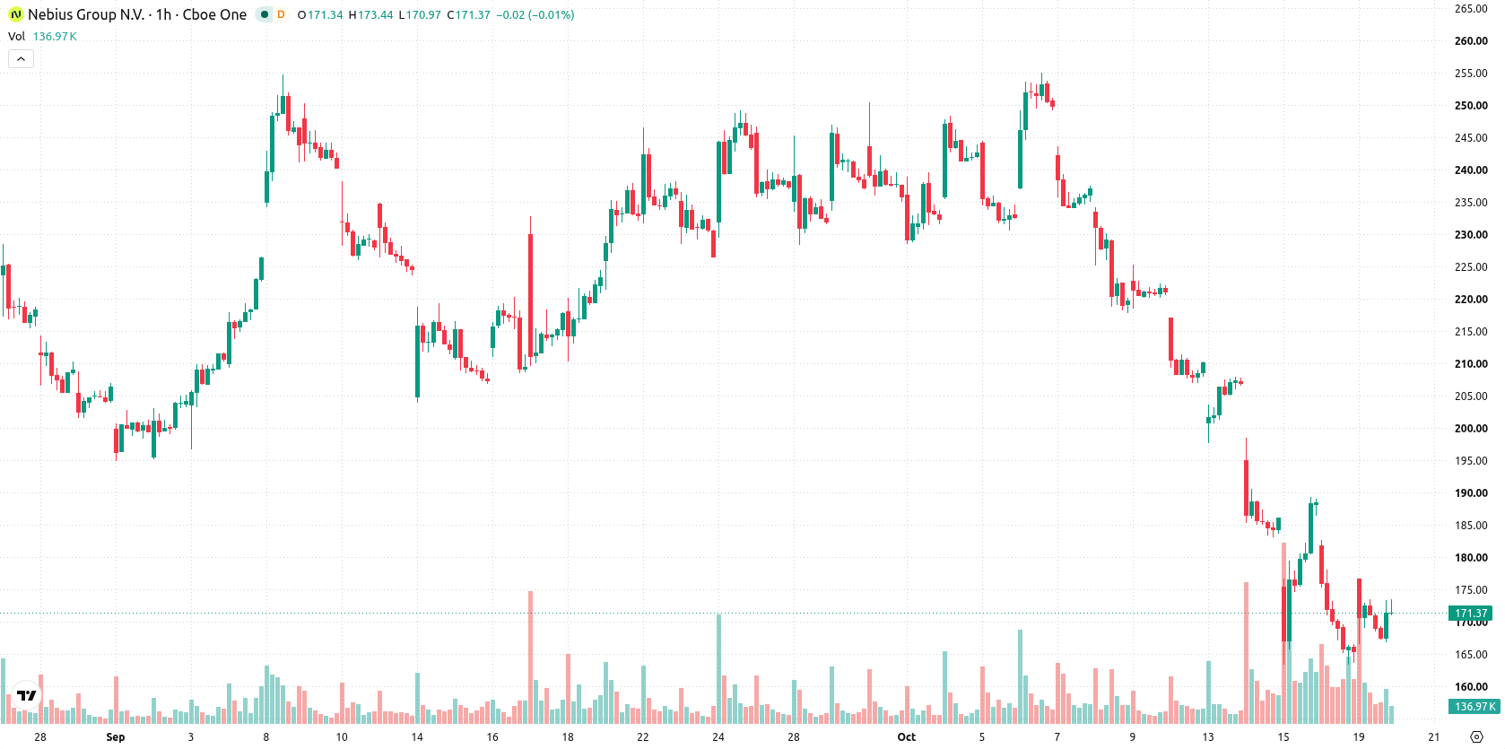 Nebius Group N.V. asset chart