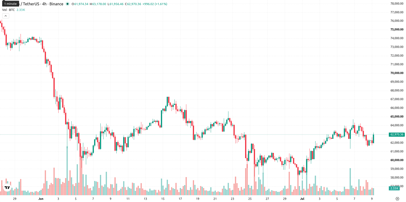 Bitcoin asset chart