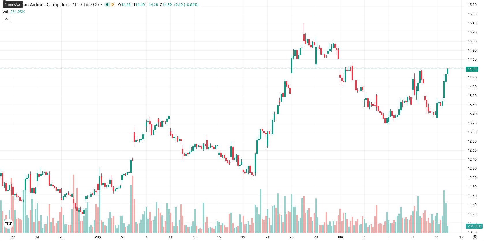 American Airlines Group Inc. asset chart