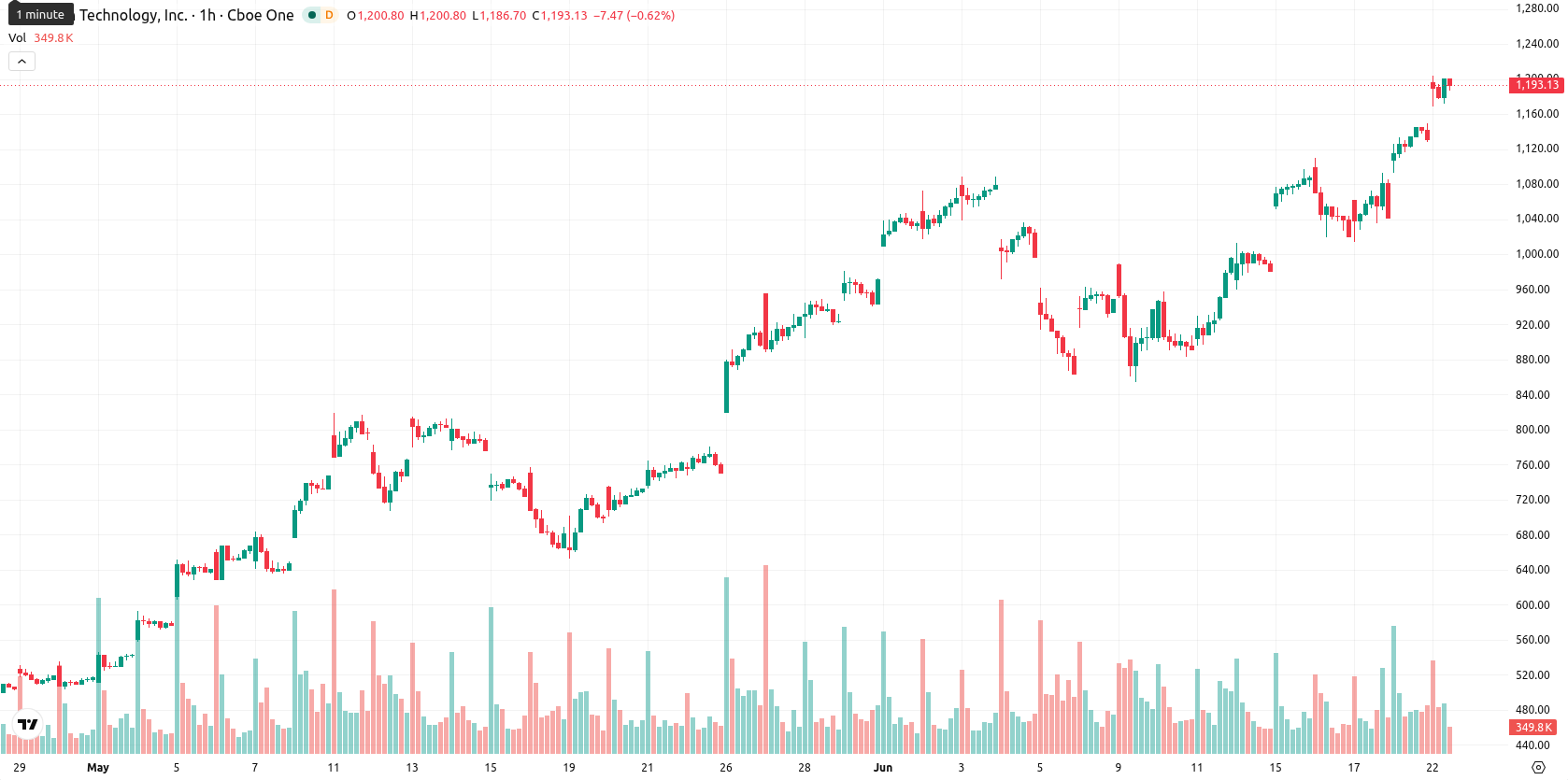 Micron Technology asset chart