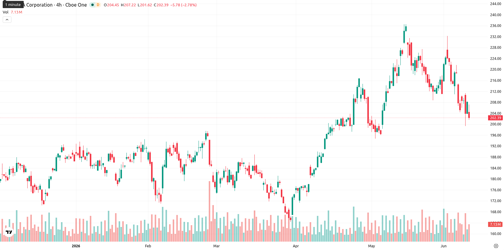 Nvidia Corp asset chart