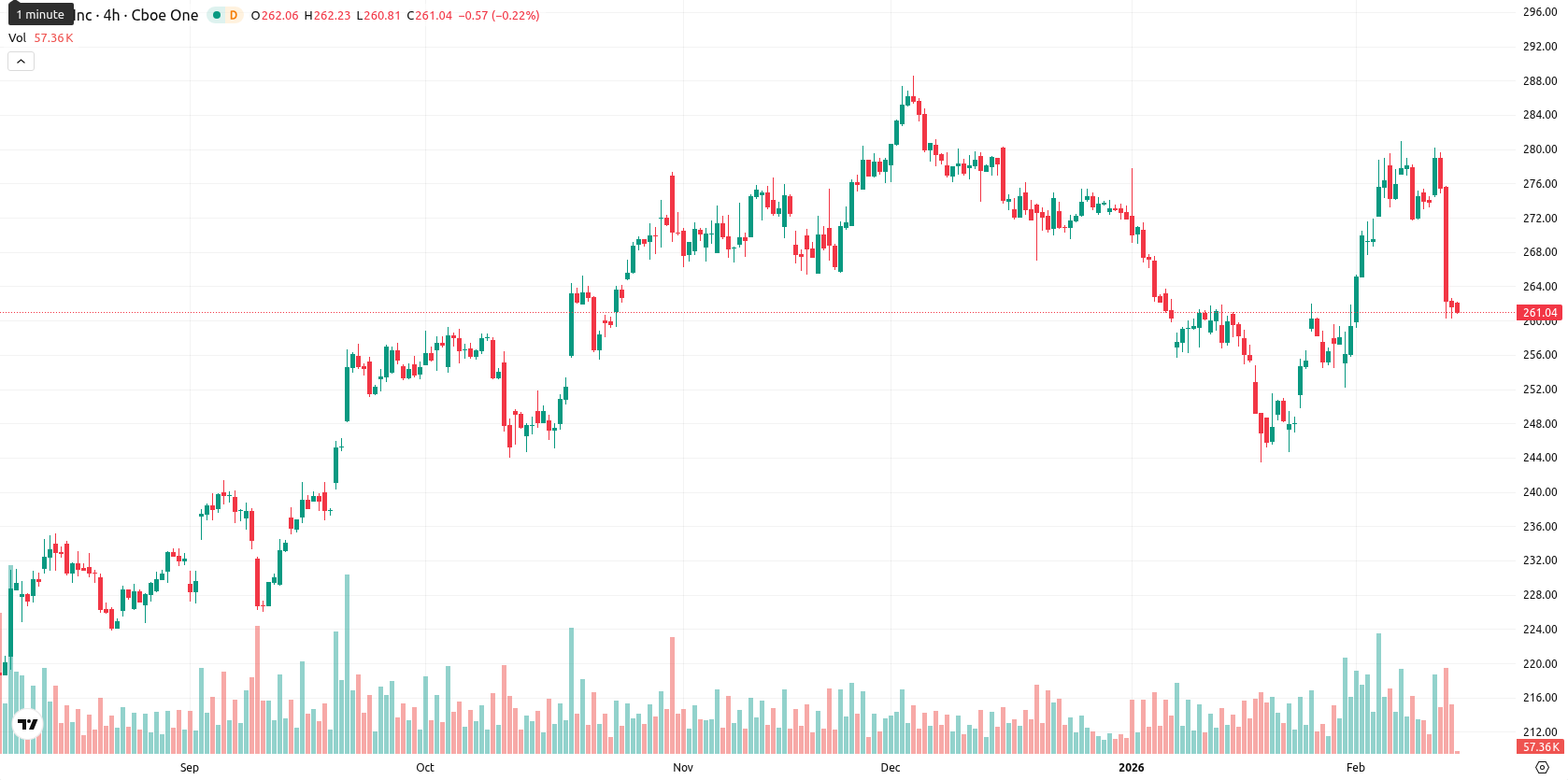 Apple Inc. asset chart