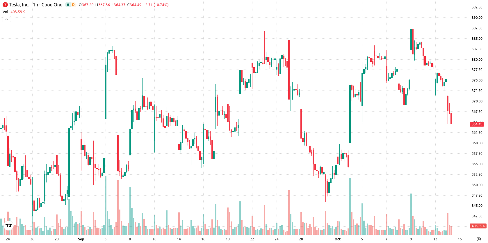 Tesla Inc. asset chart