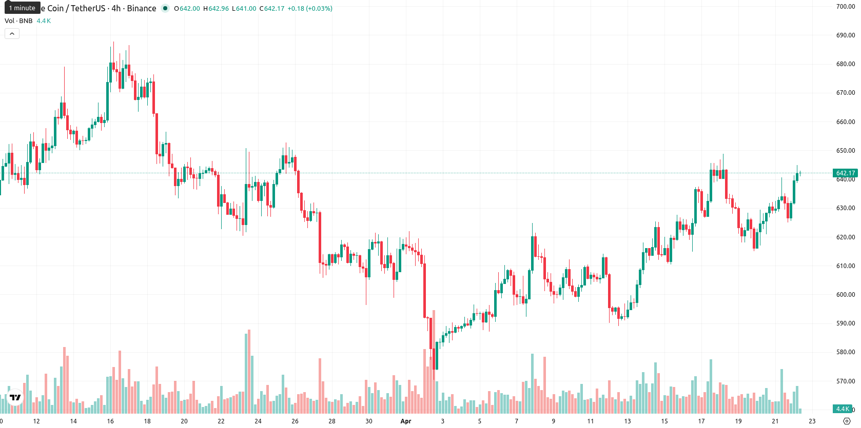 Binance Coin asset chart