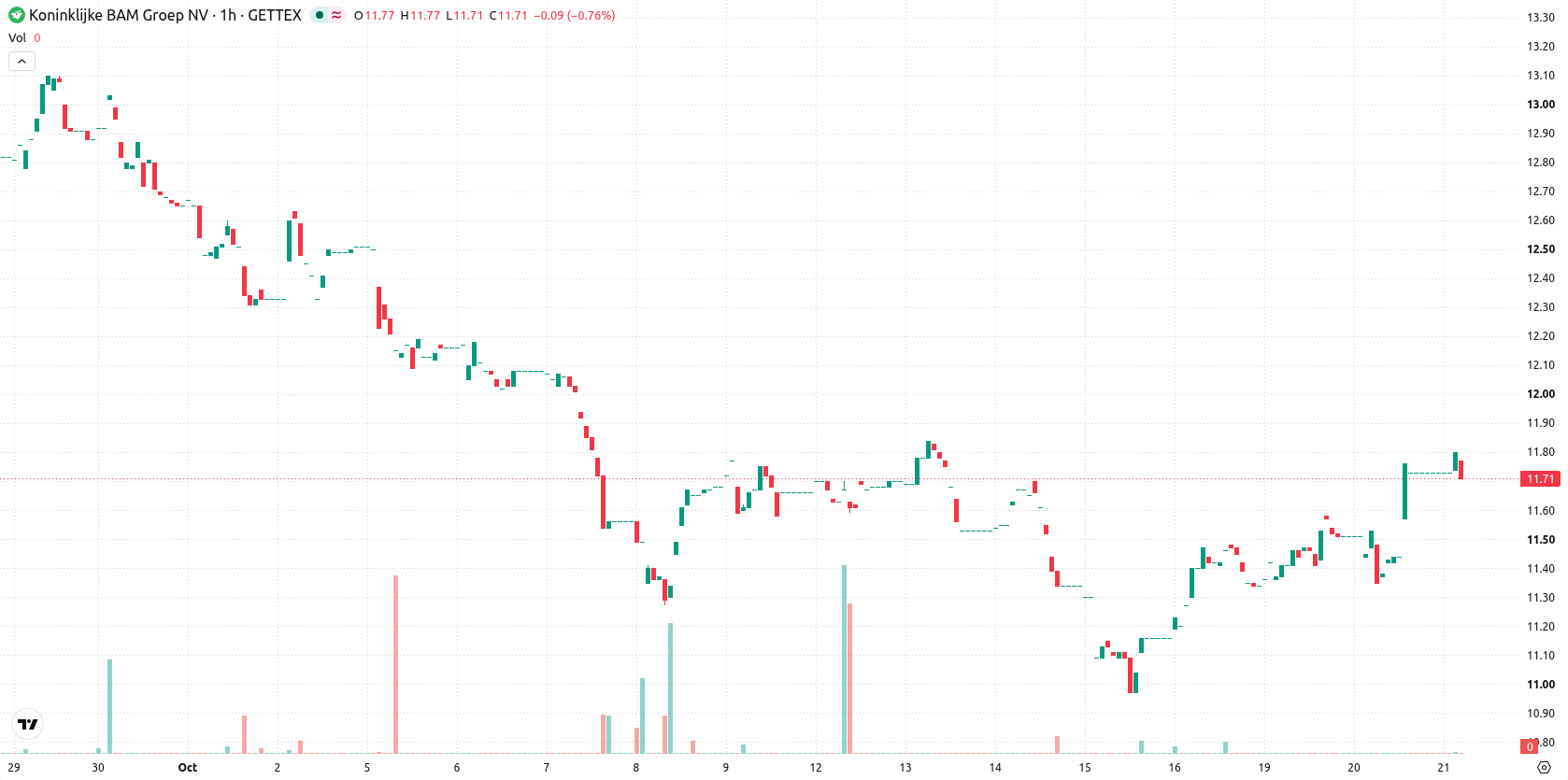 BAM Group N.V. asset chart