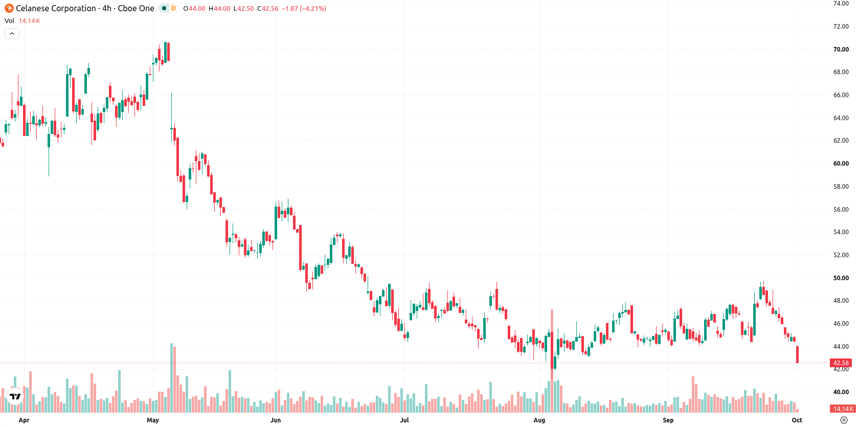 Celanese Corporation asset chart