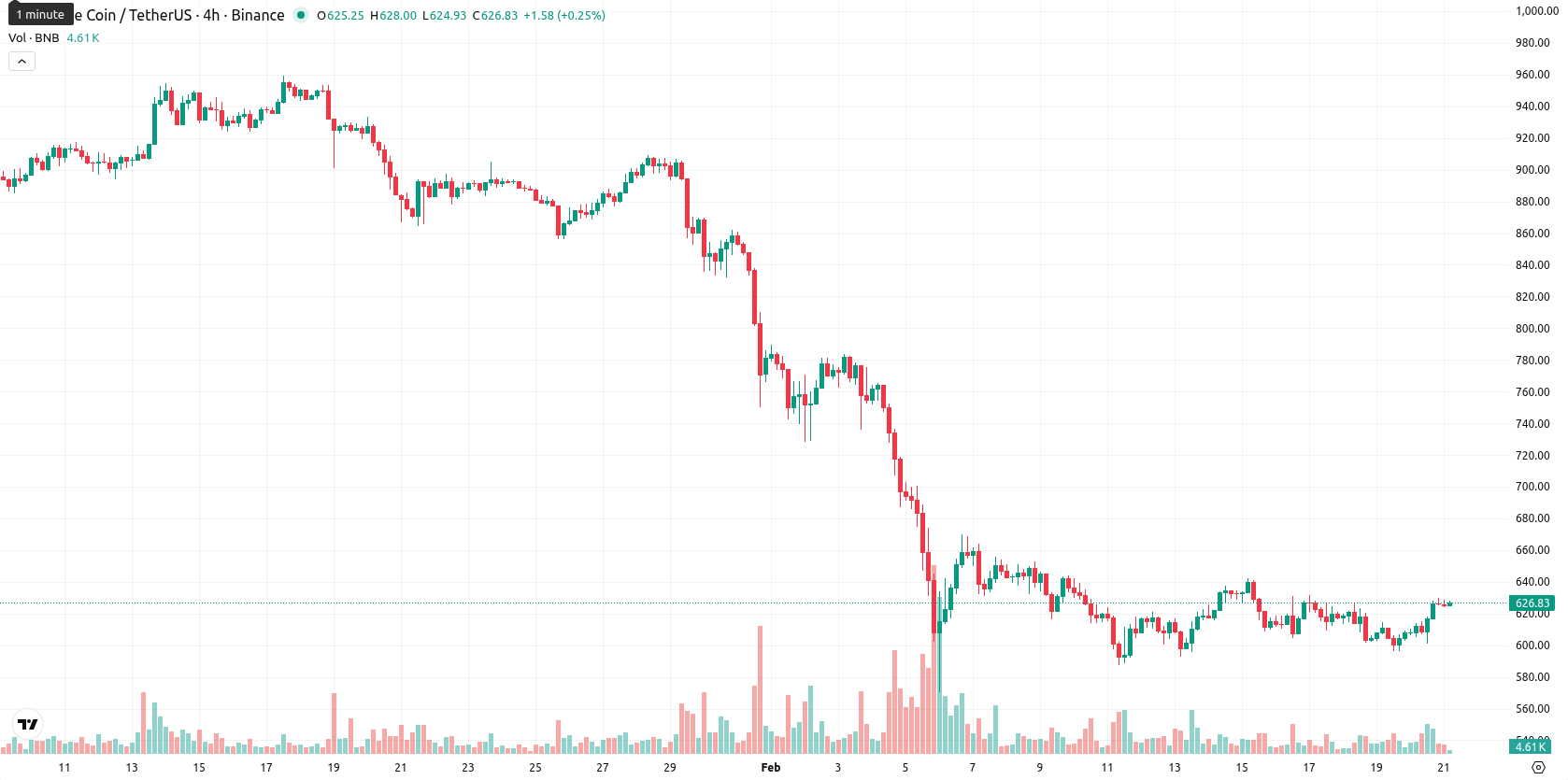 Binance Coin asset chart