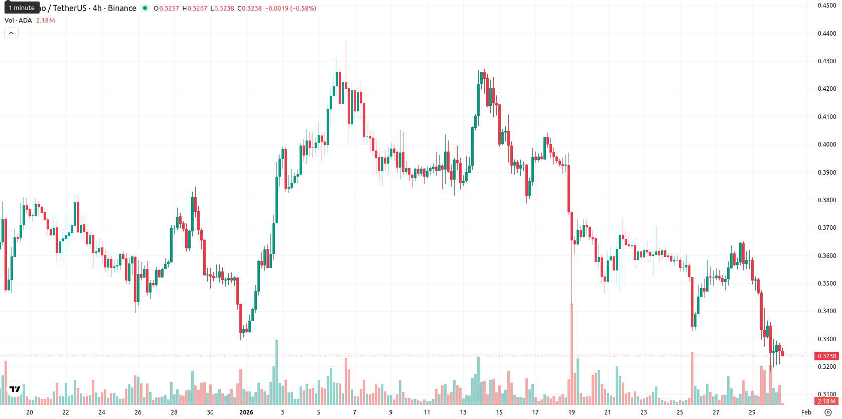 Cardano asset chart