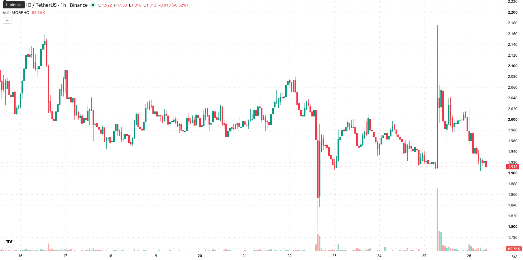 Morpho asset chart