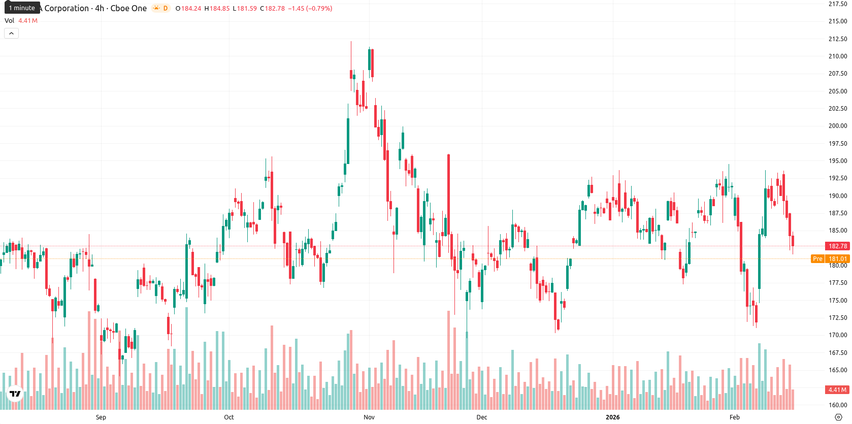 Nvidia Corp asset chart
