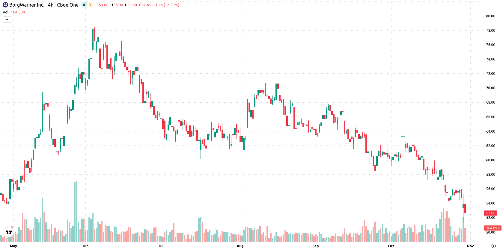 BorgWarner Inc asset chart