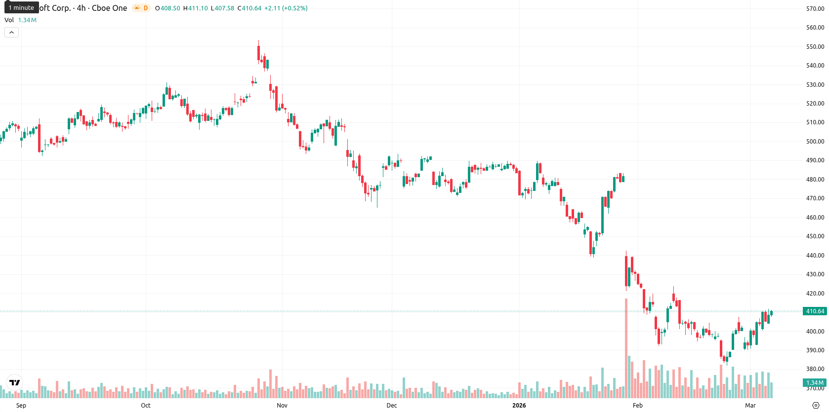 Microsoft Corp asset chart