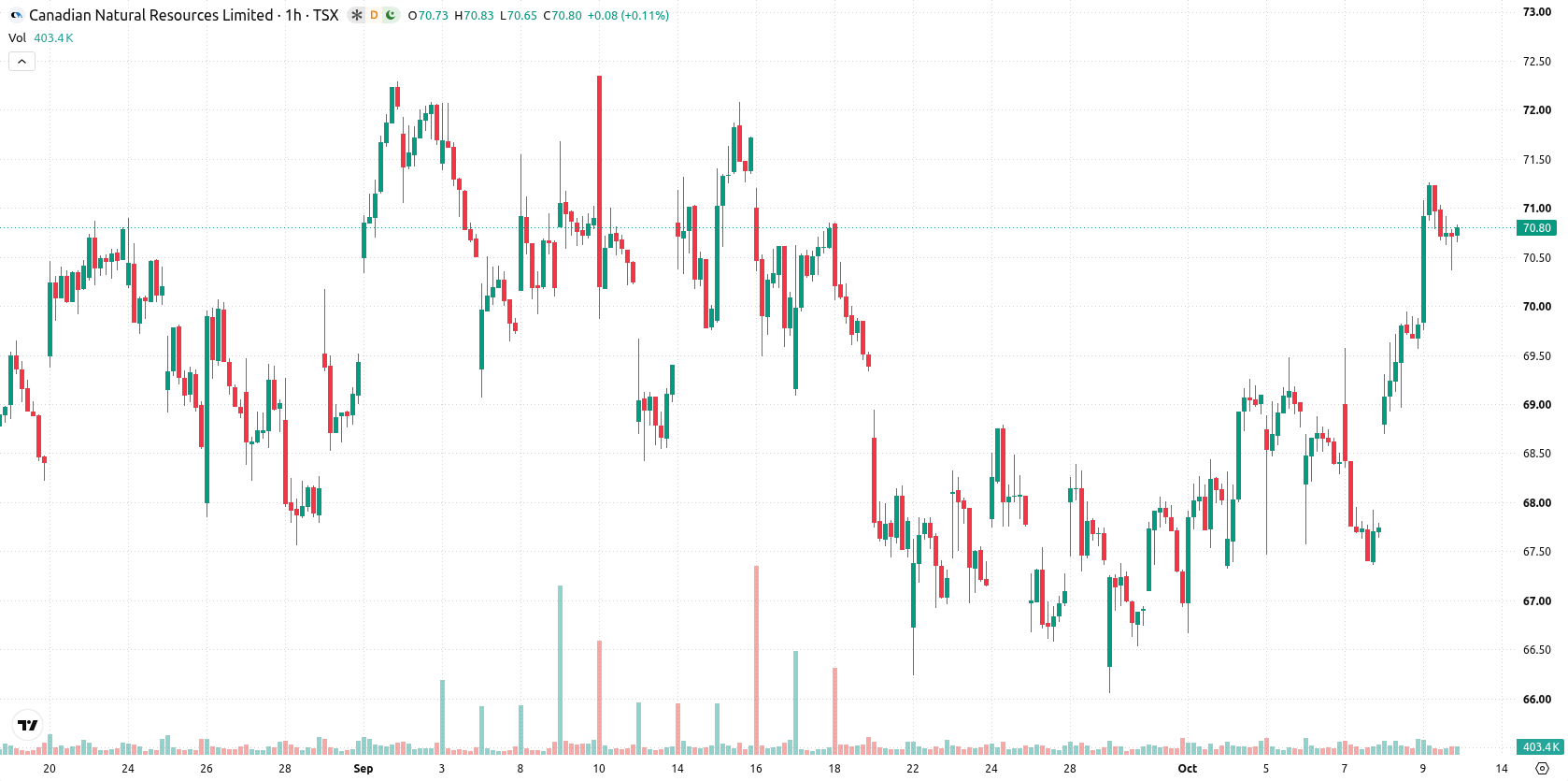 Canadian Natural Resources Limited asset chart