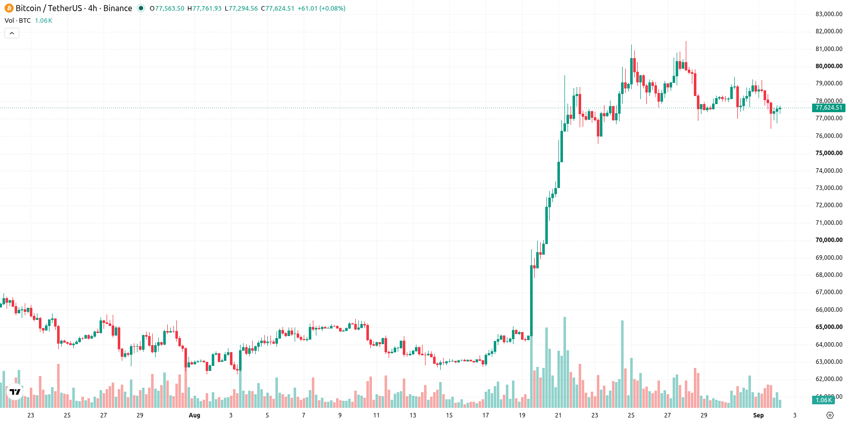 Bitcoin asset chart