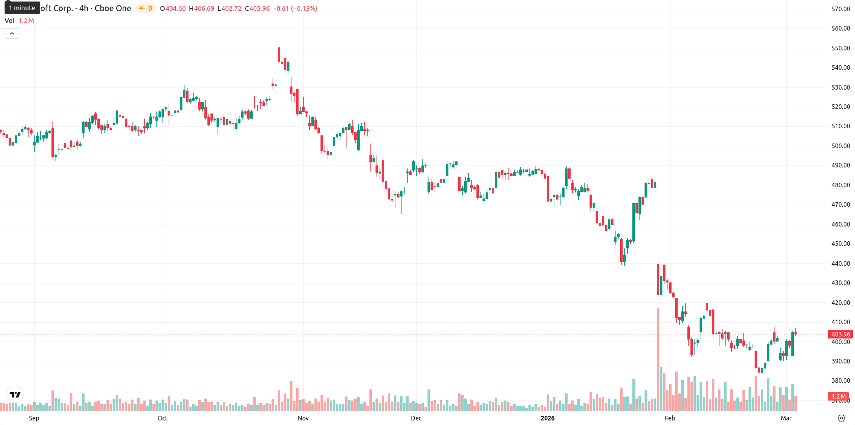 Microsoft Corp asset chart