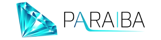 Logo Paraiba World