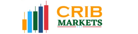 Logo CRIB MARKETS LTD