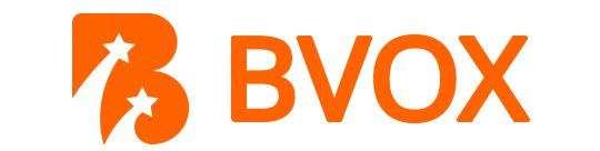 Logo BVOX