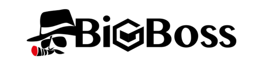 Logo BigBoss