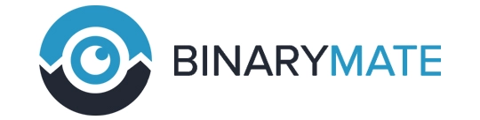 Логотип BINARYMATE