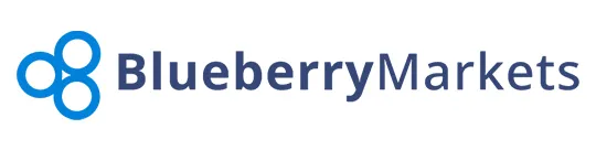Logo Blueberry Markets