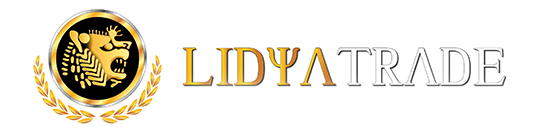 Logo LidyaTrade