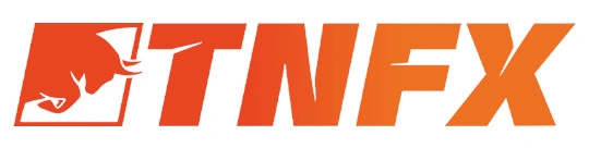 Logo TNFX