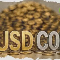 ¿Qué provocó la última caída en el precio del Dólar estadounidense frente al Peso colombiano?