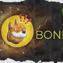 +7.62% for Bonk as price challenges recent trading range
