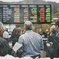 Grupo Stasinopoulos afronta triple fecha ex dividendo en la Bolsa de Atenas