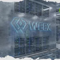 WEEX nhấn mạnh mức tăng trưởng của $RE, $BTW, $BICO và quảng bá các chiến dịch giao dịch sôi động
