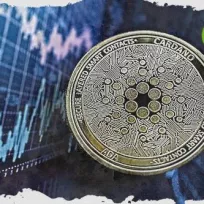 Why is Cardano price up today?