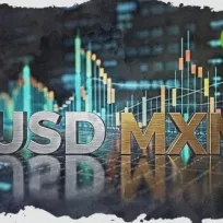 La presión vendedora empuja el precio del dólar estadounidense frente al peso mexicano a la baja en la sesión de hoy