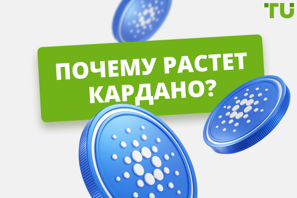 Почему растет Кардано? Топ причин и прогнозов цены