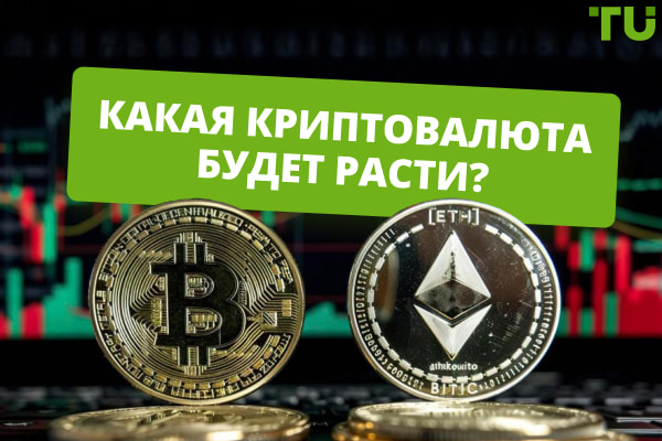 Какая криптовалюта будет расти? 7 перспективных монет в 2025 году