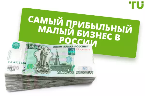 Самый прибыльный малый бизнес в России в 2024 году