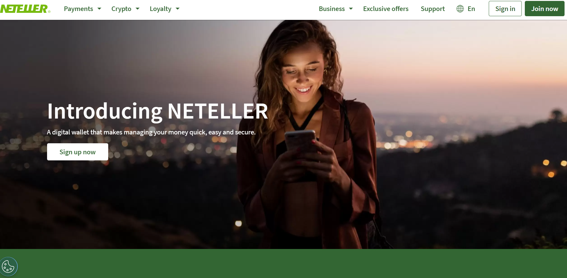 Платежная система Neteller
